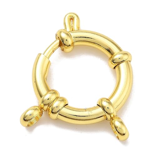 DanLingJewelry 10 Stück goldene Armbänder Halsketten Verschluss Verschlüsse Verbindungsstücke Edelstahl Federringverschlüsse für Schmuckherstellung Zubehör DanLingJewelry 10 Stück goldene Armbänder Halsketten Verschluss Verschlüsse Verbindungsstücke Edelstahl Federringverschlüsse für Schmuckherstellung Zubehör von DanLingJewelry