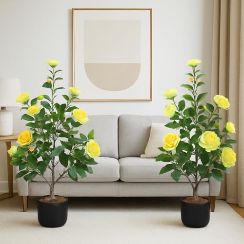 DanLink 2Pcs küNstlicher KamelienblüTenbaum, 90 cm Kunstbaum Mit Gelb BlüTen, Kunstpflanze Florale Blumenpflanze Im Topf für Zuhause BüRo, Zimmerpflanze Dekopflanze, Die Innen Und AußEndekoration DanLink 2Pcs küNstlicher KamelienblüTenbaum, 90 cm Kunstbaum Mit Gelb BlüTen, Kunstpflanze Florale Blumenpflanze Im Topf für Zuhause BüRo, Zimmerpflanze Dekopflanze, Die Innen Und AußEndekoration von DanLink