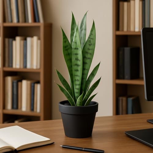 DanLink Sansevieria Kunstpflanze, 40cm Groß KüNstliche Schlangenpflanze Mit Stabilem Topf, Zimmerpflanze Schlangenpflanze KüNstliche für Die Inneneinrichtung Im Freien Den Heimgarten BüRodekoration von DanLink