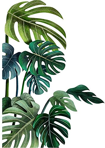 DanLink Wandtattoo Grün Blätter Tropische Pflanzen Wandaufkleber Modern Art Decal Wandbild Wandsticker Wanddeko für Wohnzimmer Schlafzimmer Flur, Recht von DanLink