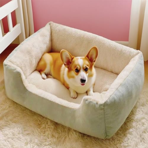 Danchen Hundebett, atmungsaktiv, Anti-Angst-Hundesofa mit rutschfester Unterseite, weicher Plüsch, für Welpen, Katzen, Schlafzimmer, Couchkissen, erhöhte Seiten für große Haustiere (Grün, 50 x 40 x 15 Danchen Hundebett, atmungsaktiv, Anti-Angst-Hundesofa mit rutschfester Unterseite, weicher Plüsch, für Welpen, Katzen, Schlafzimmer, Couchkissen, erhöhte Seiten für große Haustiere (Grün, 50 x 40 x 15 von Danchen