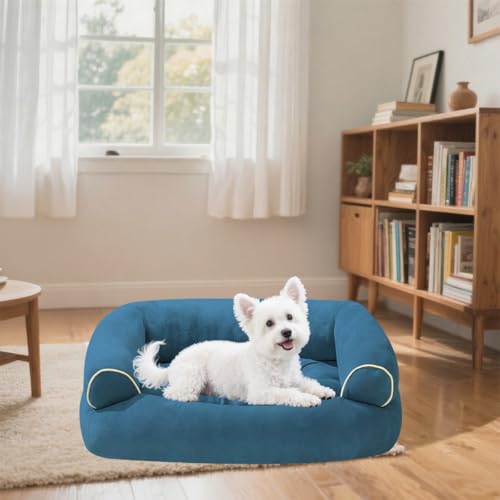 Danchen Hundesofa, atmungsaktiv, orthopädische Haustier-Couch mit rutschfester Unterseite und 3-seitiger Unterstützung, abnehmbarer Sofa-Nackenrolle für große, mittelgroße und kleine Hunde, Katzen Danchen Hundesofa, atmungsaktiv, orthopädische Haustier-Couch mit rutschfester Unterseite und 3-seitiger Unterstützung, abnehmbarer Sofa-Nackenrolle für große, mittelgroße und kleine Hunde, Katzen von Danchen