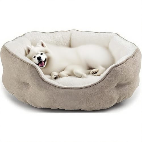 Danchen Hundesofa, gemütlich, Anti-Angst-Hundesofa, Welpenbett mit Seiten und abnehmbarem Kissen, rutschfeste Unterseite, mittlere orthopädische Plüschmatratze, Stuhlmatte (Khaki, 50 x 48 x 16 cm) von Danchen