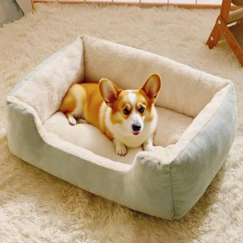 Danchen Hundesofa, orthopädisches Katzensofa mit Rückenlehne und Armlehne, atmungsaktive Haustier-Couch-Liegematte, Matratze für den Innenbereich, Wohnzimmer, kleine, mittelgroße und große Hunde (Grün Danchen Hundesofa, orthopädisches Katzensofa mit Rückenlehne und Armlehne, atmungsaktive Haustier-Couch-Liegematte, Matratze für den Innenbereich, Wohnzimmer, kleine, mittelgroße und große Hunde (Grün von Danchen