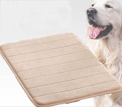 Hundebett-Matte, groß, weich, hochdichter Schaumstoff, S-60 x 40 cm, Hundekisten-Matratze für Haustiere, Hunde, Katzen, rutschfeste Haustiermatte, maschinenwaschbar von Danchen