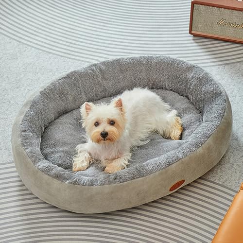 Mittelgroßes Hundesofa, Hundebett waschbar mit rutschfestem Boden und erhöhten Seiten, weiche, bequeme Haustier-Couch-Bett, Nackenrolle, Stuhlkissen für große Welpen, Katzen (Grau, 60 x 48 x 7 cm) Mittelgroßes Hundesofa, Hundebett waschbar mit rutschfestem Boden und erhöhten Seiten, weiche, bequeme Haustier-Couch-Bett, Nackenrolle, Stuhlkissen für große Welpen, Katzen (Grau, 60 x 48 x 7 cm) von Danchen