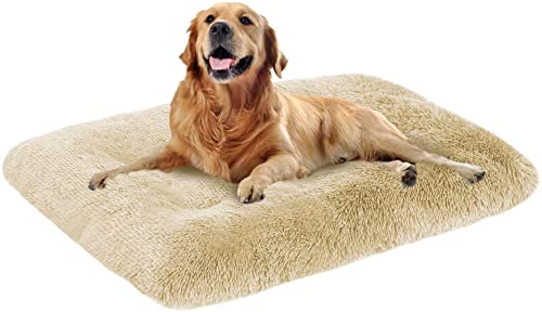 Ultraweiches großes Hundebett, 100 x 70 x 10 cm, hochwertiges warmes Plüsch-Hundekissen, abnehmbar, waschbar, rutschfest, beruhigendes Hundebett von Danchen