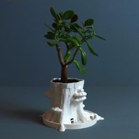 Natürlicher Baumstamm-Übertopf Inspiriert Von Fagus Sylvatica Mit Formitopsis Pinicula Pilzen von Danckelmans
