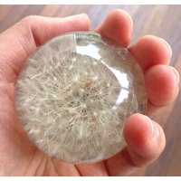Löwenzahn Briefbeschwerer - Hergestellt Aus Einer Echten Pusteblume Pusteblumen Karte Und Umschlag Inklusive von DandelionPaperWeight