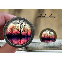 Baum Muster Glas Cabochon Knauf Vintage Bronze Schrank Knauf Baum Muster Glas Cabochon Knauf Vintage Bronze Schrank Knauf von Dandiary