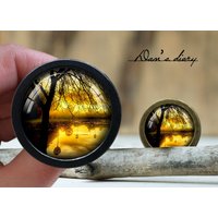 Baum Muster Glas Cabochon Knauf Vintage Bronze Schrank Knauf Baum Muster Glas Cabochon Knauf Vintage Bronze Schrank Knauf von Dandiary