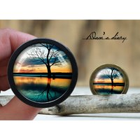 Baum Muster Glas Cabochon Knauf Vintage Bronze Schrank Knauf Baum Muster Glas Cabochon Knauf Vintage Bronze Schrank Knauf von Dandiary