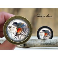Vogel Und Blumen Glas Cabochon Knauf - Vintage Bronze Schrank von Dandiary