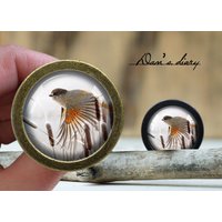 Vogel Muster Glas Cabochon Knauf Vintage Bronze Schrank Knauf von Dandiary