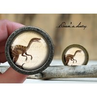 Dinosaurier Muster Glas Cabochon Knauf Vintage Bronze Schrank Knauf Dinosaurier Muster Glas Cabochon Knauf Vintage Bronze Schrank Knauf von Dandiary
