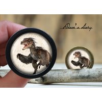 Dinosaurier Muster Glas Cabochon Knauf Vintage Bronze Schrank Knauf Dinosaurier Muster Glas Cabochon Knauf Vintage Bronze Schrank Knauf von Dandiary