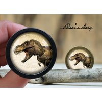 Dinosaurier Muster Glas Cabochon Knauf Vintage Bronze Schrank Knauf Dinosaurier Muster Glas Cabochon Knauf Vintage Bronze Schrank Knauf von Dandiary