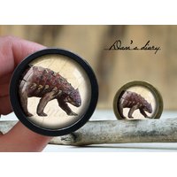 Dinosaurier Muster Glas Cabochon Schrankknopf - Vintage Bronze Finish Dinosaurier Muster Glas Cabochon Schrankknopf - Vintage Bronze Finish von Dandiary
