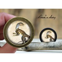 Dinosaurier Muster Glas Cabochon Schrankknopf - Vintage Bronze Finish Dinosaurier Muster Glas Cabochon Schrankknopf - Vintage Bronze Finish von Dandiary