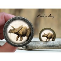 Dinosaurier Muster Glas Cabochon Schrankknopf Vintage Bronze Finish von Dandiary