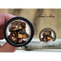 Hunde Muster Glas Cabochon Schrankknopf Vintage Bronze, Golden, Silber, Schwarz Hunde Muster Glas Cabochon Schrankknopf Vintage Bronze, Golden, Silber, Schwarz von Dandiary