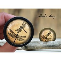 Libelle Glas Cabochon Knauf Vintage Bronze Schrank Knauf Libelle Glas Cabochon Knauf Vintage Bronze Schrank Knauf von Dandiary