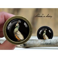 Pfau Muster Glas Cabochon Knauf - Vintage Bronze Schrank von Dandiary