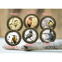 Vogel Muster Glas Cabochon Knauf Vintage Bronze Schrank Knauf Vogel Muster Glas Cabochon Knauf Vintage Bronze Schrank Knauf von Dandiary