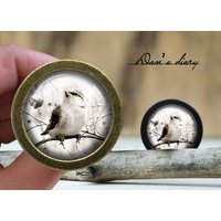 Vogel Und Blumen Glas Cabochon Knauf Vintage Bronze Schrank Pull Vogel Und Blumen Glas Cabochon Knauf Vintage Bronze Schrank Pull von Dandiary