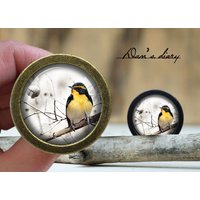 Vogel Und Blumen Glas Cabochon Knauf Vintage Bronze Schrank Pull von Dandiary