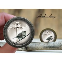 Vogel Und Blumen Glas Cabochon Knauf - Vintage Bronze Schrank Vogel Und Blumen Glas Cabochon Knauf - Vintage Bronze Schrank von Dandiary