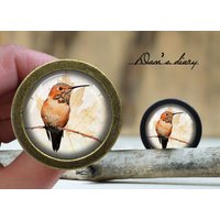 Vogel Und Blumen Glas Cabochon Knauf - Vintage Bronze Schrank Vogel Und Blumen Glas Cabochon Knauf - Vintage Bronze Schrank von Dandiary