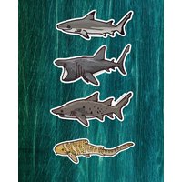 Magnet Set - Große Haie #1. Sandtiger, Riesenhai, Schwarzspitzen-Riffhai, Zebrahai. Elasmobranch Magnet, Hai-Magnete, Aquarist Magnet Set - Große Haie #1. Sandtiger, Riesenhai, Schwarzspitzen-Riffhai, Zebrahai. Elasmobranch Magnet, Hai-Magnete, Aquarist von DangCuteFish