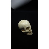 Makaber Miniatur Vintage Resin Totenkopf Skulptur Vanitas Vanitatum Gruselige Ornament Gothic Barock Stil Figur Unikat Dekoration von DanielTreasures