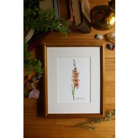 Gladiole Kunstdruck Vintage Blumen Aquarell Illustration Gladiole Kunstdruck Vintage Blumen Aquarell Illustration von DanielleMArtistry