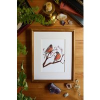 Rotkehlchen // 5x7/8x10 Kunstdruck Aquarell, Naturbild, Wandbild, Vogel Kunst, Geschenk Für Vogelliebhaber Rotkehlchen // 5x7/8x10 Kunstdruck Aquarell, Naturbild, Wandbild, Vogel Kunst, Geschenk Für Vogelliebhaber von DanielleMArtistry