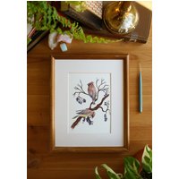Zedernwachsschwingen/5x7 8x10 Kunstdruck Natur Vögel Aquarellmalerei Illustration Zedernwachsschwingen/5x7 8x10 Kunstdruck Natur Vögel Aquarellmalerei Illustration von DanielleMArtistry