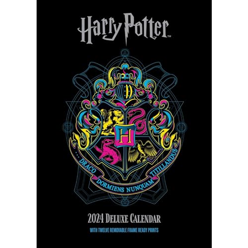 Official Harry Potter 2024 Special Edition Calendar: With Detachable Artwork For Framing von Danilo Promotions LTD