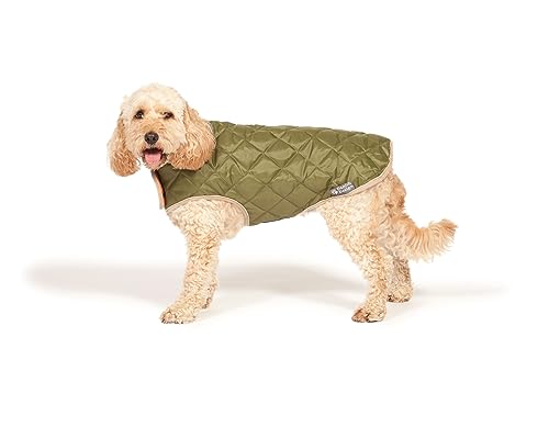 Danish Design Hunde-/Welpenmantel mit Rautenmuster, wasserabweisend, Thermofutter, 40 cm, Waldgrün Danish Design Hunde-/Welpenmantel mit Rautenmuster, wasserabweisend, Thermofutter, 40 cm, Waldgrün von Danish Design