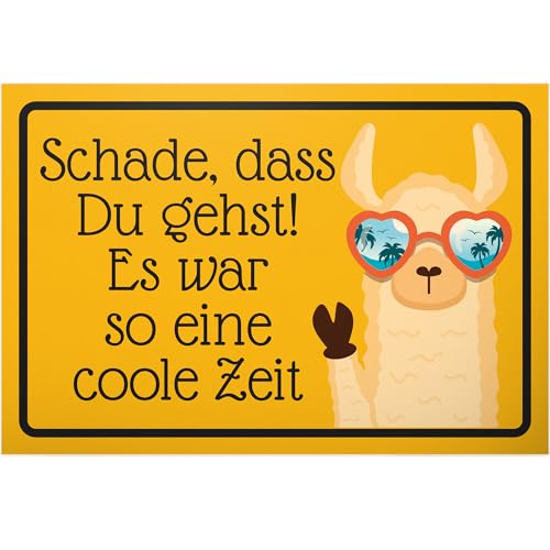 DankeDir! Abschied - 30 x 20 cm Schild - Kollegen Geschenkidee Freunde Jobwechsel Geschenk Abschiedsgeschenk Chef - Abschiedsparty Abschiedskarte Partydeko Karte Verabschiedung Büro von DankeDir!