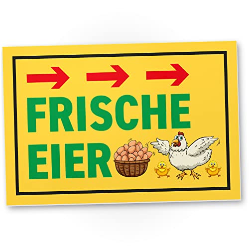 DankeDir! Frische Eier - 30 x 20 cm Schild - Geschenk Geschenkidee Bauer Freunde Bauernhof Hofladen - Geburtstagsgeschenk Türschild Spruch Hinweisschild Hinweis Hühnerstall von DankeDir!