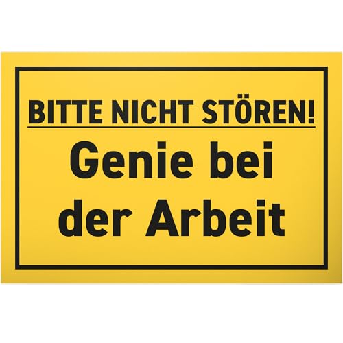 DankeDir! Genie bei Arbeit - Schild 30 x 20 cm - lustiger Spruch Geburtstagsgeschenk Wanddeko Spruchschild Türschild - Geschenk Deko Kollegen Freunde Geschenkidee Partydeko Party von DankeDir!