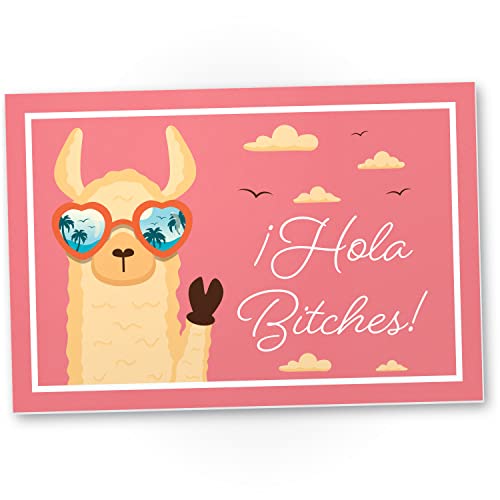 DankeDir! Hola Bitches Lama Alpaca - Schild 30 x 20 cm - Türschild Geburtstagsgeschenk Karte lustiger Spruch Spruchschild - Party Geschenk Geschenkidee Deko Kollegen Freunde Partydeko von DankeDir!