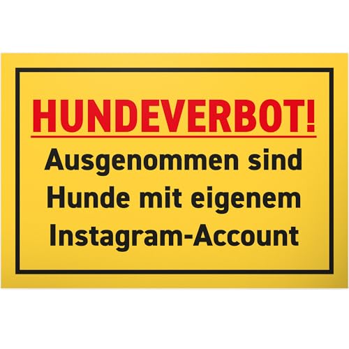 DankeDir! Hundeverbot lustig - 30 x 20 cm Schild - Deko Party Partydeko Geschenk Geschenkidee Kollegen Freunde - Geburtstagsgeschenk lustiger Spruch Spruchschild Türschild Hunde verboten DankeDir! Hundeverbot lustig - 30 x 20 cm Schild - Deko Party Partydeko Geschenk Geschenkidee Kollegen Freunde - Geburtstagsgeschenk lustiger Spruch Spruchschild Türschild Hunde verboten von DankeDir!
