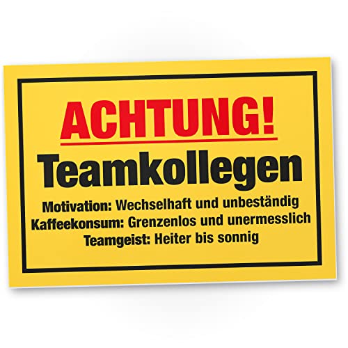 DankeDir! Teamkollegen - Schild 30 x 20 cm - Party Geschenkidee Deko Kollegen Freunde Partydeko Geschenk - Geburtstagsgeschenk Türschild lustiger Spruch Spruchschild Büro Team von DankeDir!