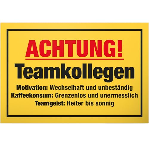 DankeDir! Teamkollegen - Schild 30 x 20 cm - Party Geschenkidee Deko Kollegen Freunde Partydeko Geschenk - Geburtstagsgeschenk Türschild lustiger Spruch Spruchschild Büro Team von DankeDir!