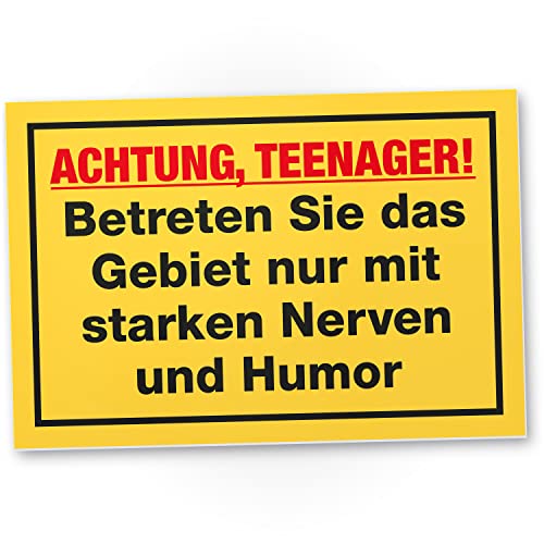 DankeDir! Teenager Nerven & Humor - Schild 30 x 20 cm - Jungen & Mädchen Teenager Türschild Geschenkidee Zimmer Spruch - Zimmer Deko Dekoration Geschenk Idee Tür Deko Geburtstag Jugendliche von DankeDir!