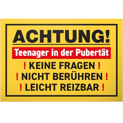 DankeDir! Teenager in der Pubertät - 30 x 20 cm Schild - Geburtstag Jugendliche Tür Deko Zimmer Deko Geschenk Idee - Zimmer Spruch Türschild Jungen & Mädchen Geschenkidee Jugendzimmer von DankeDir!