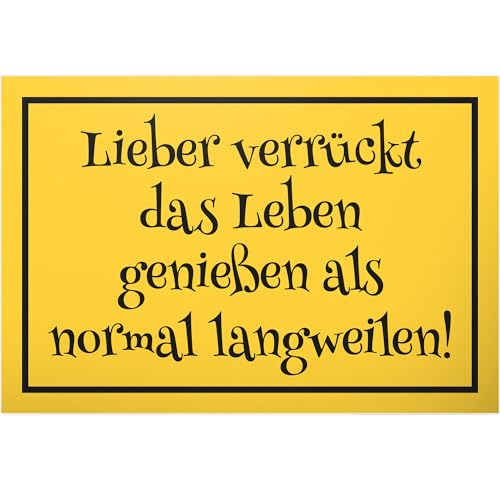 DankeDir! Verrückt Leben - Schild 30 x 20 cm - Spruchschild Wanddeko Türschild lustiger Spruch Geburtstagsgeschenk - Partydeko Deko Party Kollegen Freunde Geschenk Geschenkidee von DankeDir!