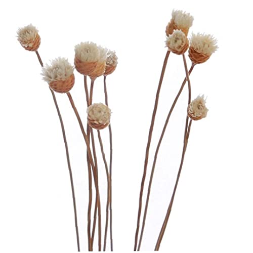 20 Teile/Set chinesische Rose Blume Rattan ätherisches öl Aroma Diffuser Sticks nachfüllen Rattan Sticks für ätherisches öl Diffuser für Hause Schlafzimmer Badezimmer von Danlai
